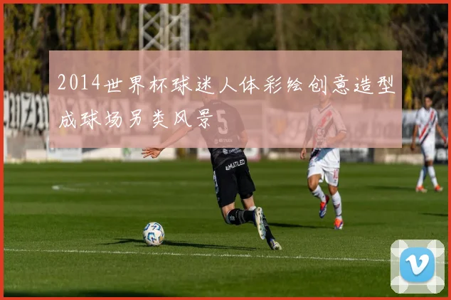 2014世界杯球迷人体彩绘创意造型成球场另类风景