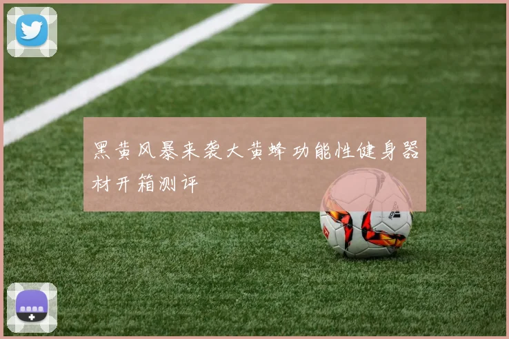 黑黄风暴来袭大黄蜂功能性健身器材开箱测评