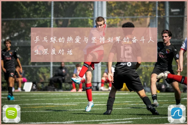 乒乓球的热爱与坚持刘军的奋斗人生深度对话